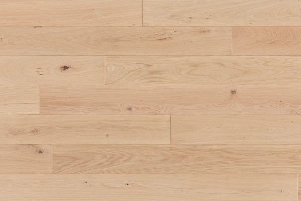 Alta 150 – Image 7
