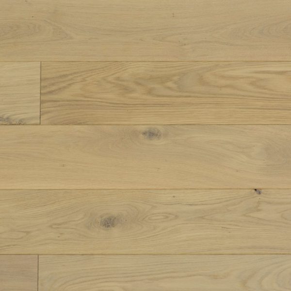 Vienna 150 / 120 – Image 13