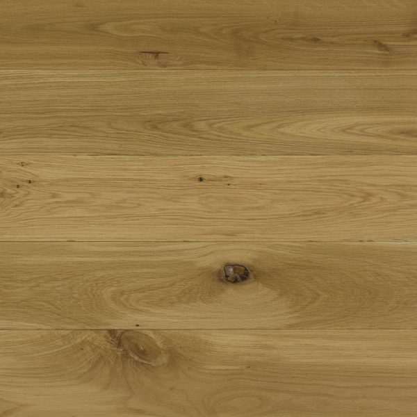 Vienna 150 / 120 – Image 14