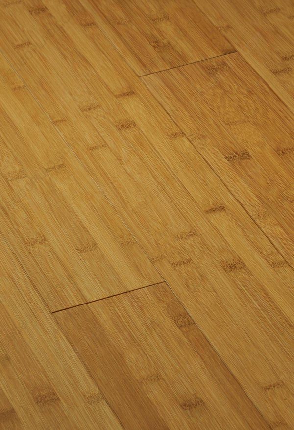 Bambou (Asie) – Image 6