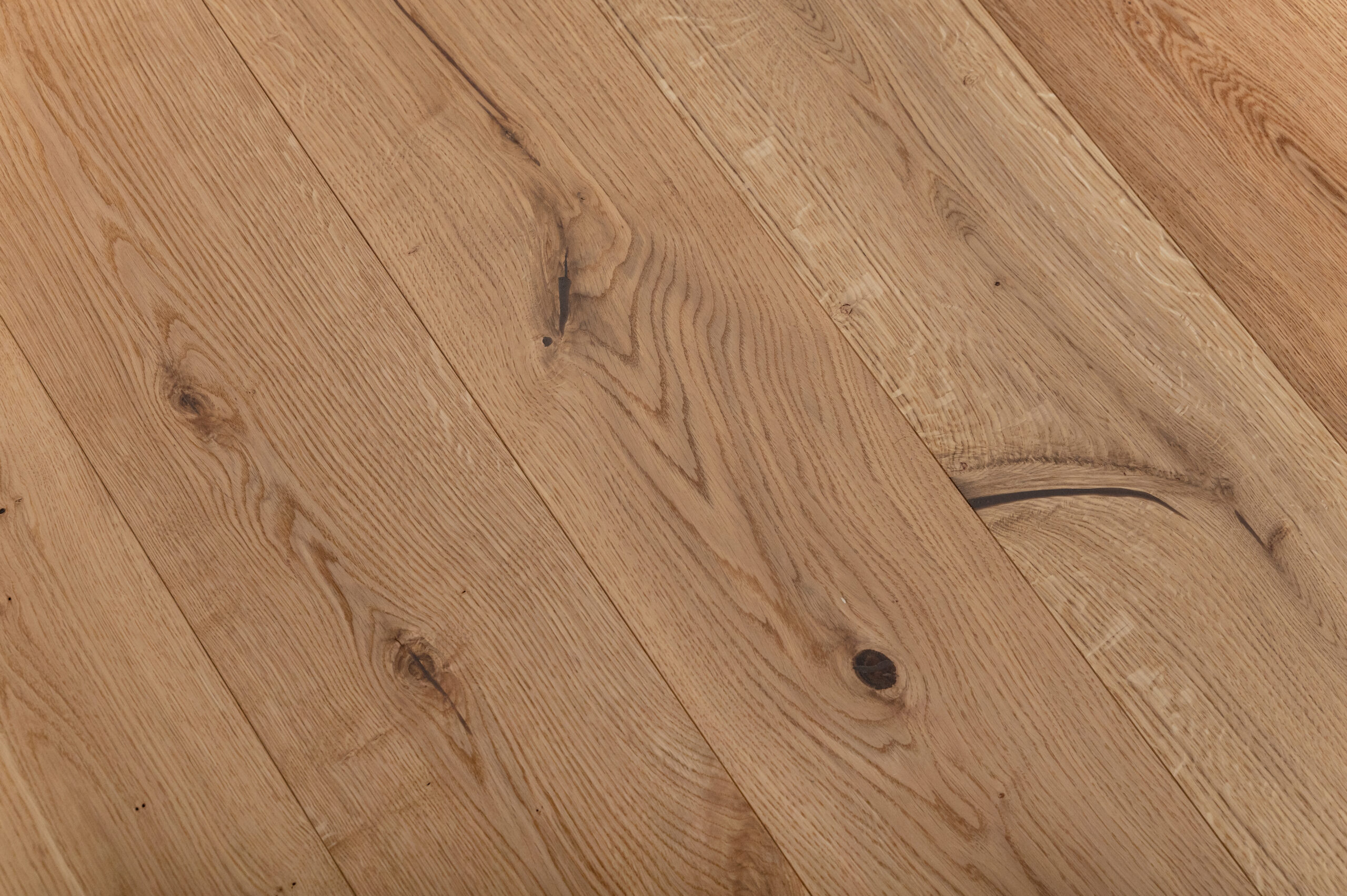 Campagne 194 x 2230 – Image 8