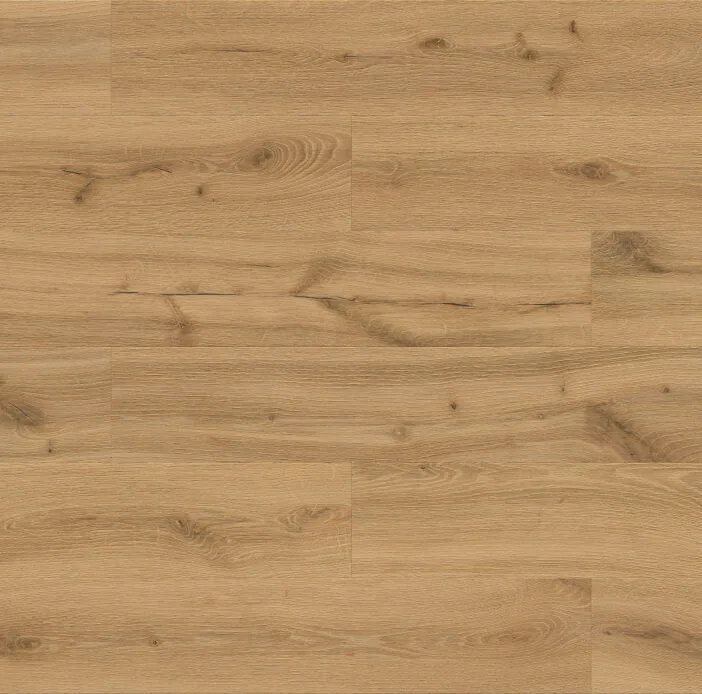 Forma Line – Image 8