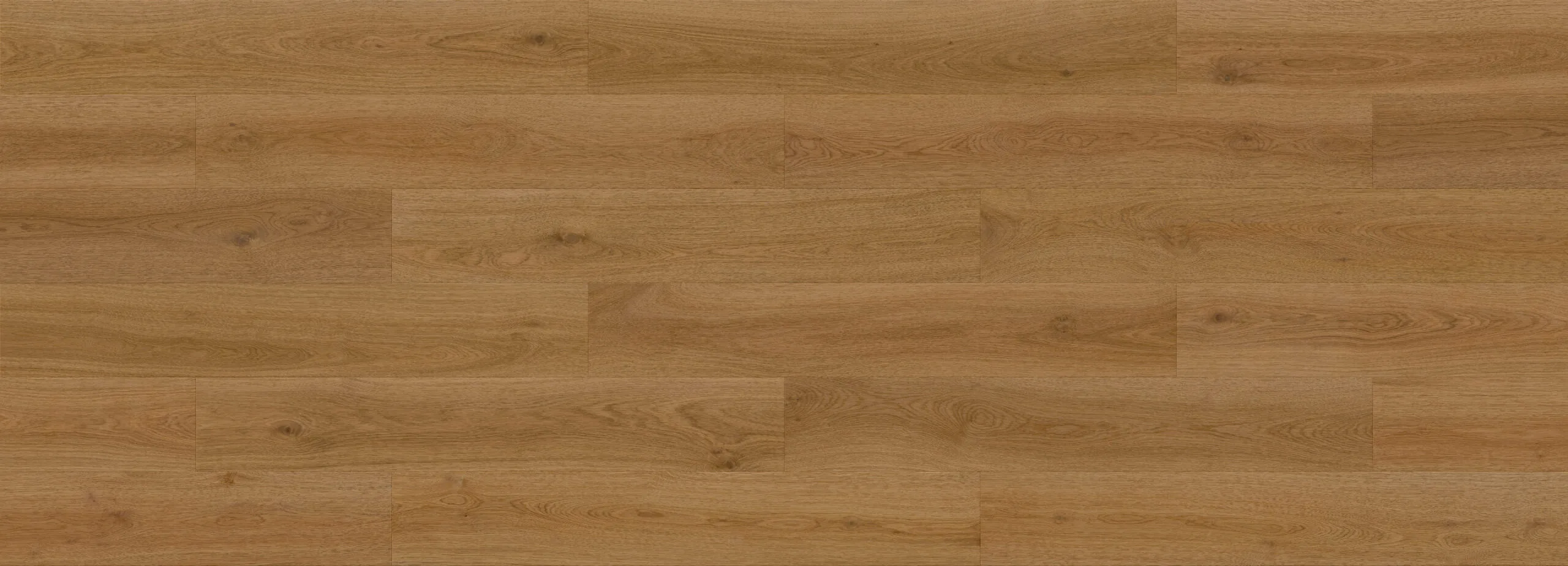 Forma Line – Image 19
