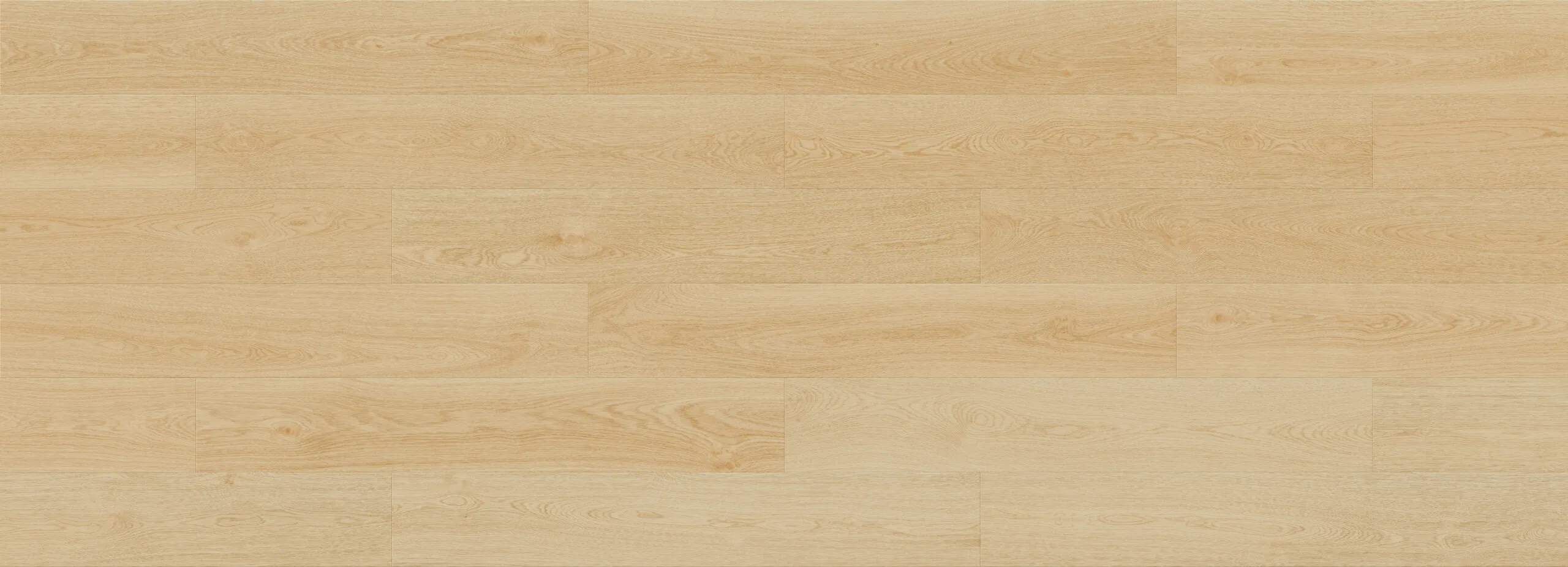 Forma Line – Image 22