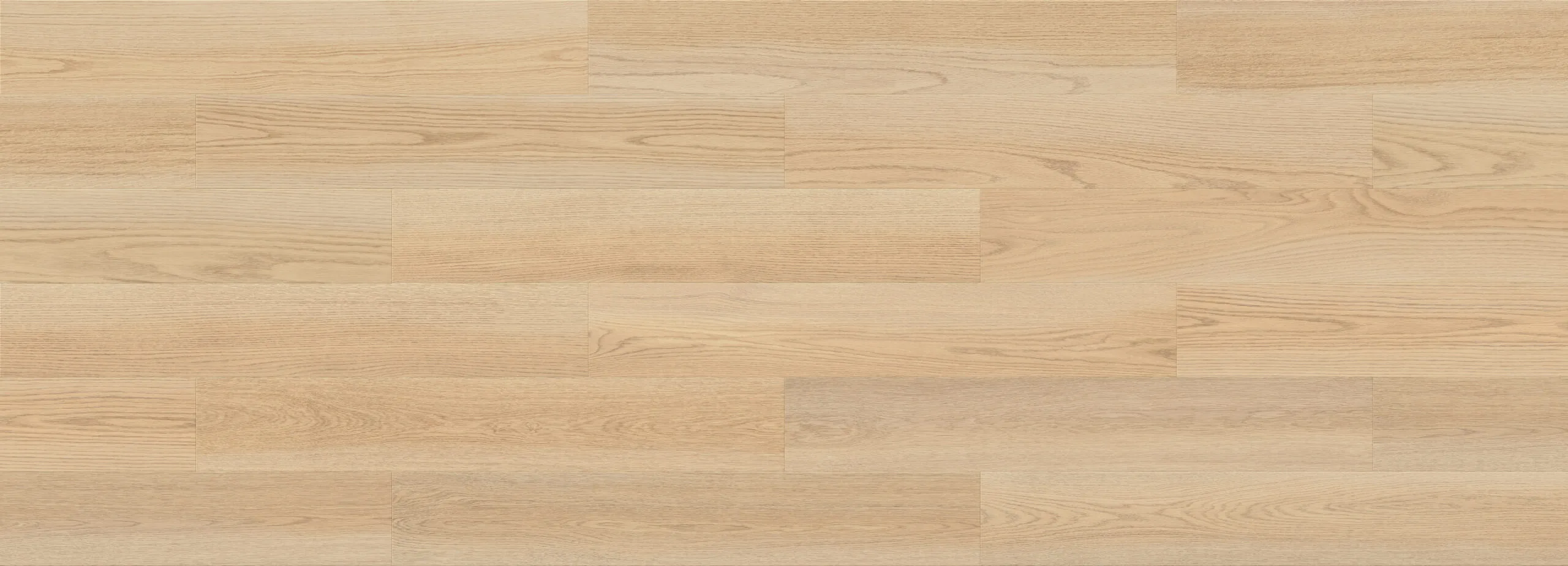 Forma Line – Image 27