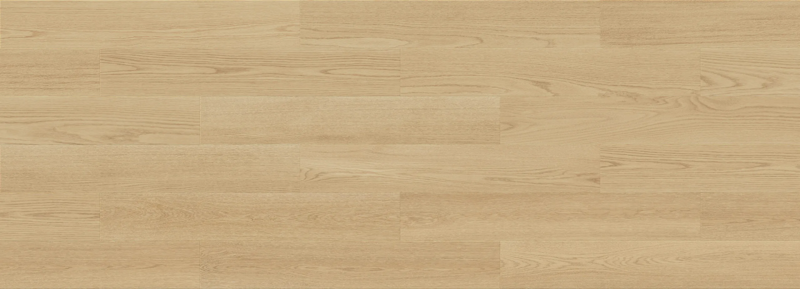 Forma Line – Image 31
