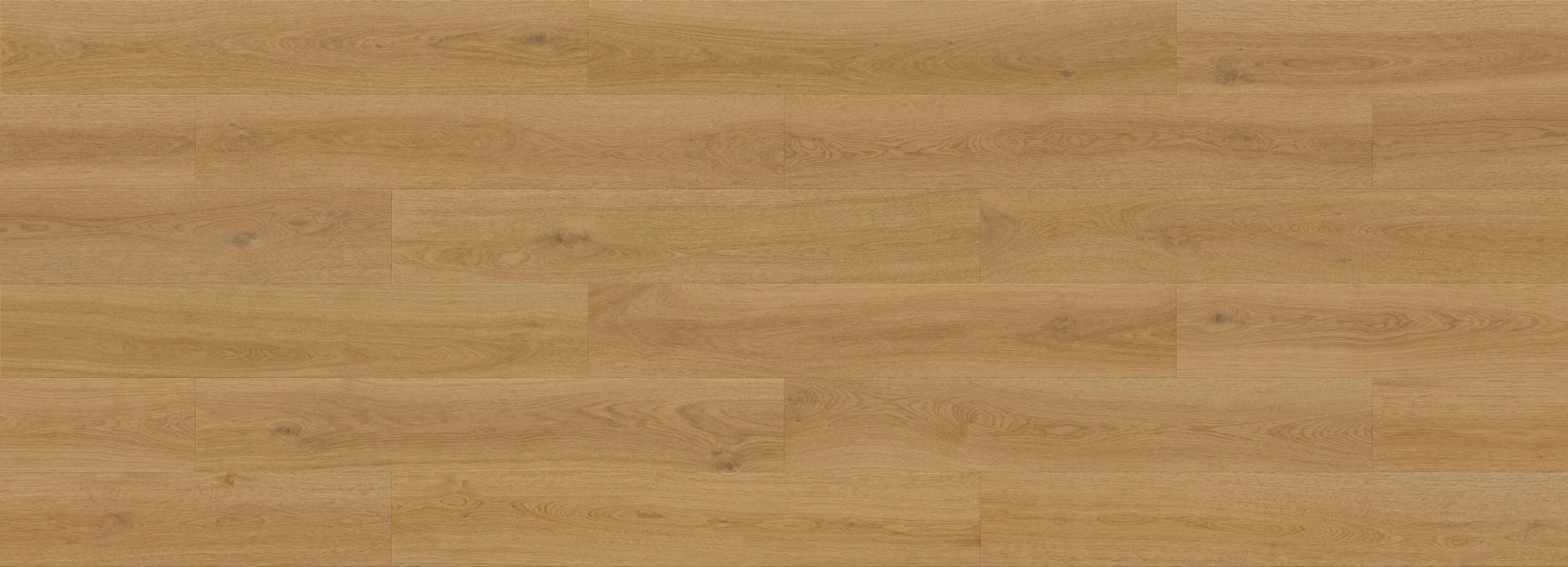 Forma Line – Image 34