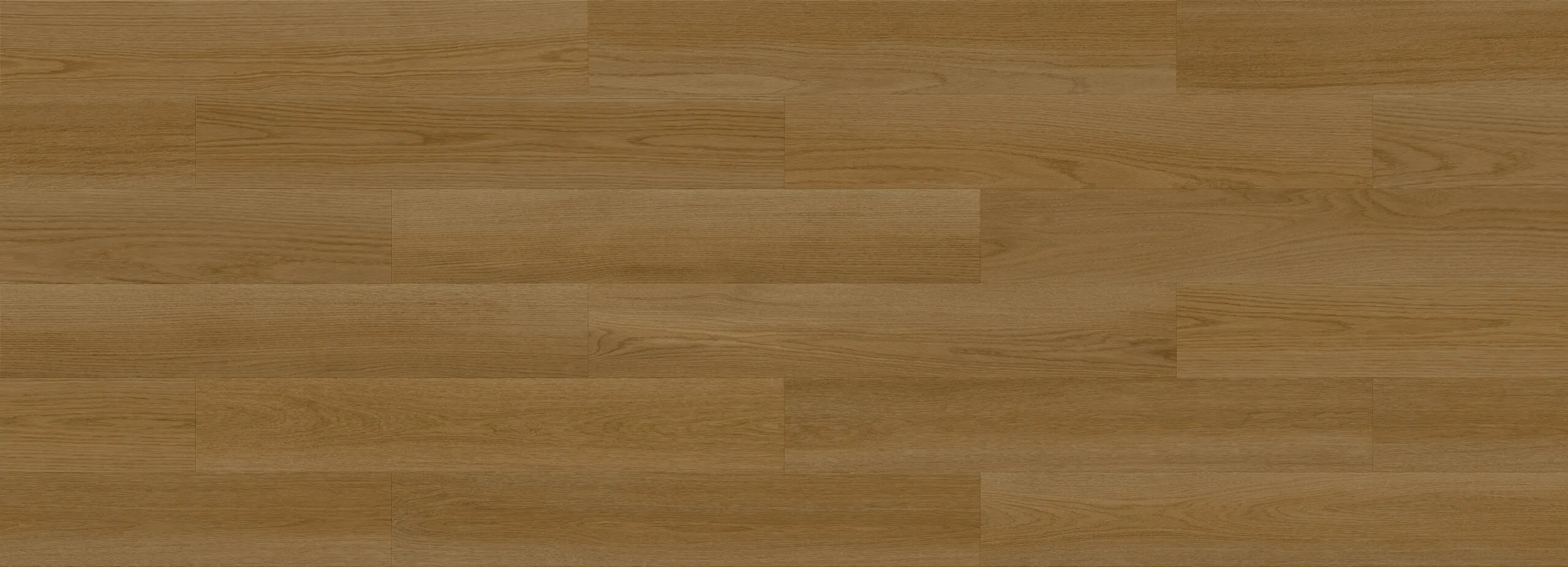 Forma Line – Image 37